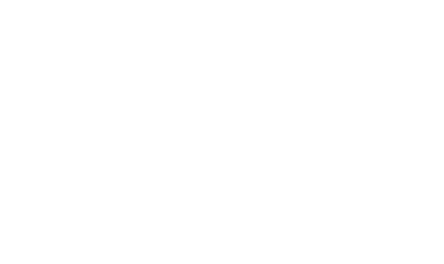 N.G. Service Bologna